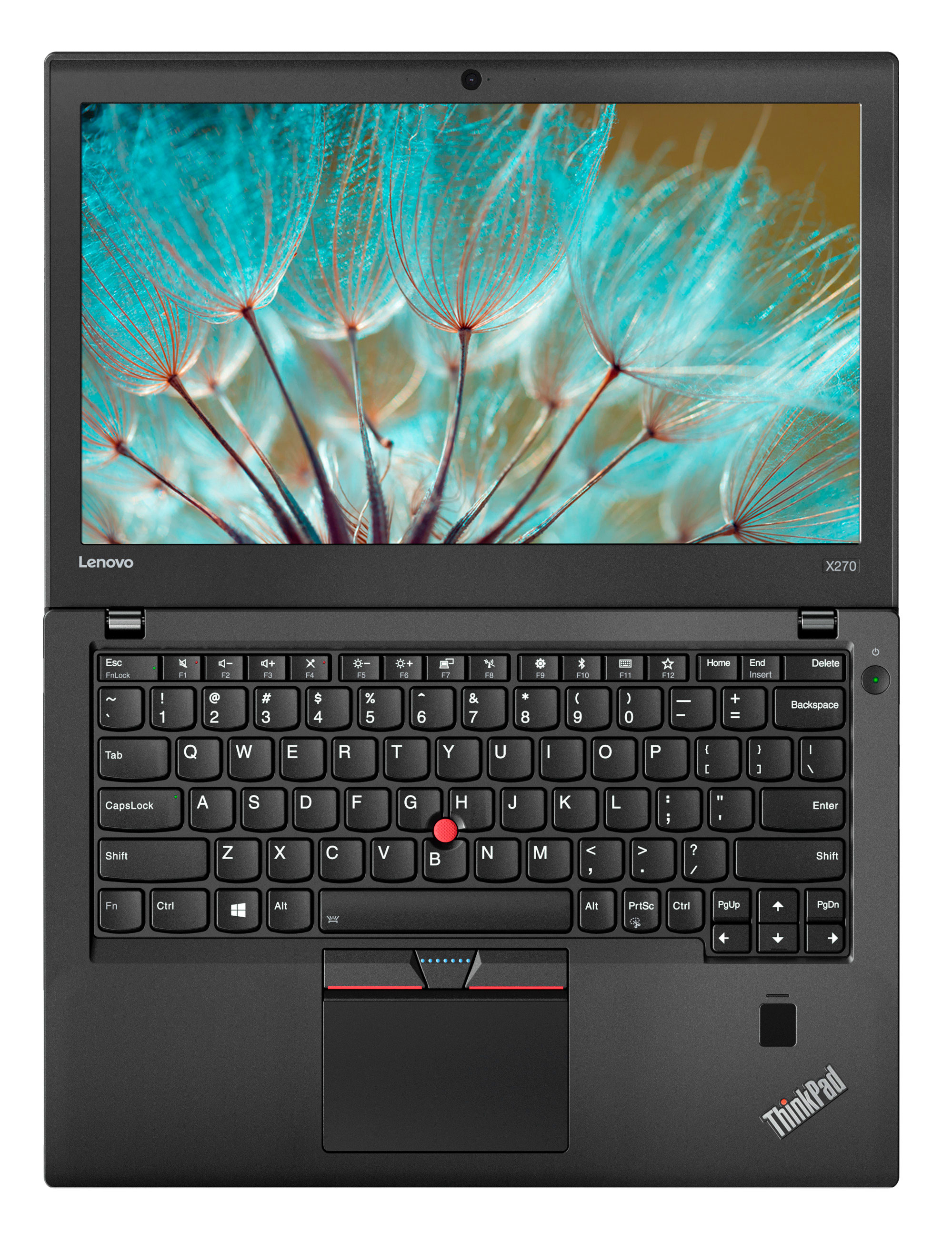 Ноутбук ThinkPad X270 (20HNS00Q00) - купить в интернет-магазине
