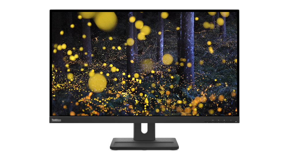 Монитор Lenovo ThinkVision E24q-20 (62CFGAT1UA) - купить в